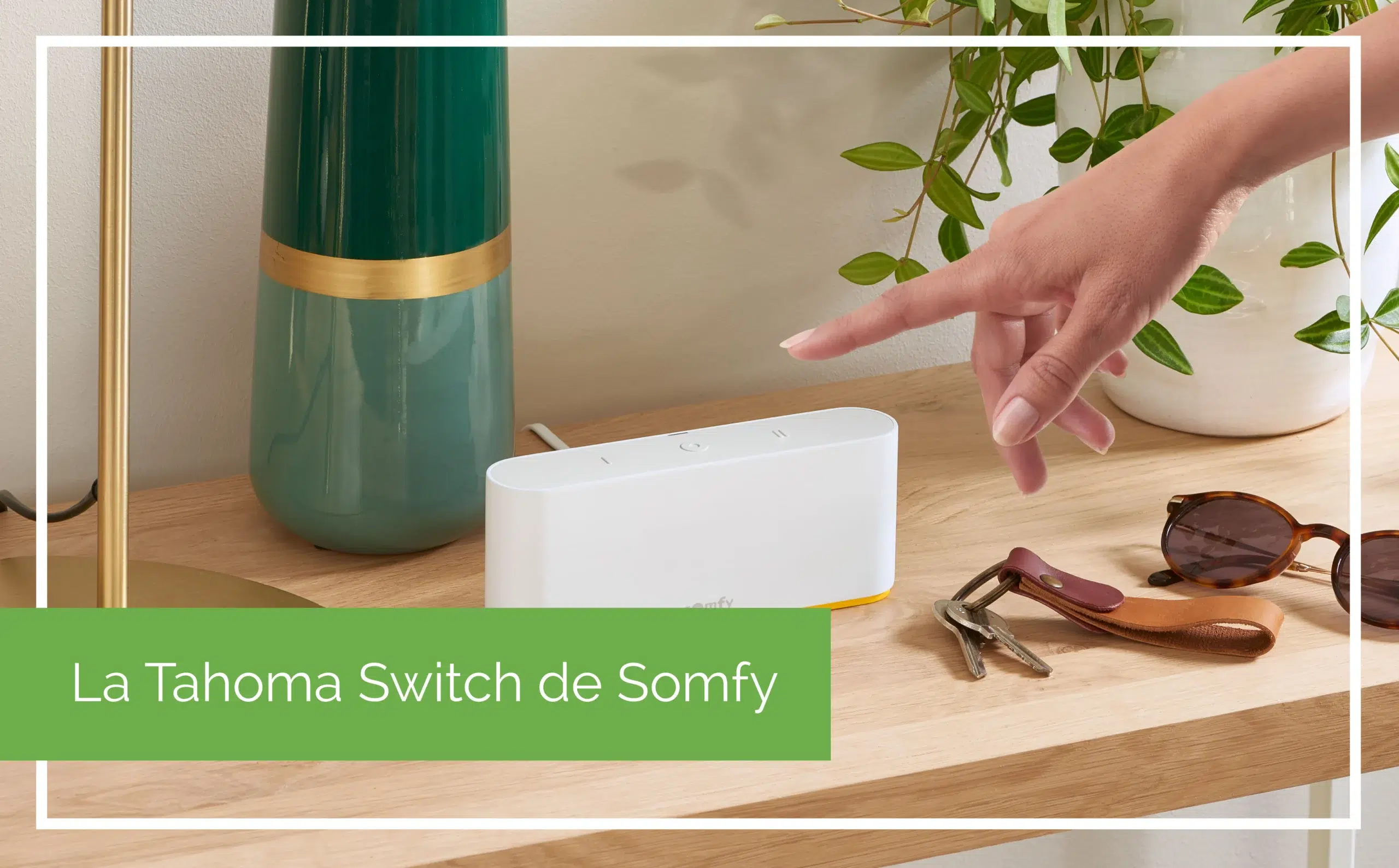 Tahoma switch - DC- Solutions pour votre habitat